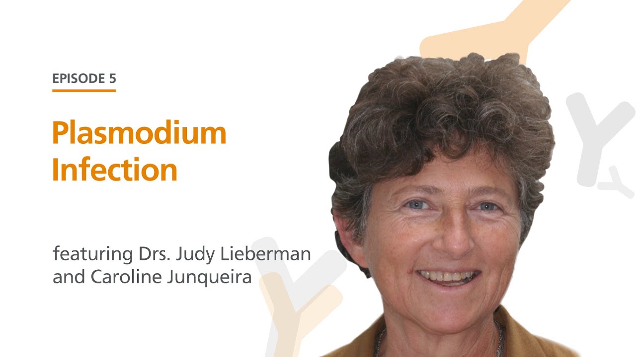 Judy Lieberman and Dr. Caroline Junqueira